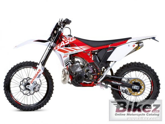 2012 GAS GAS EC 300 Racing photo